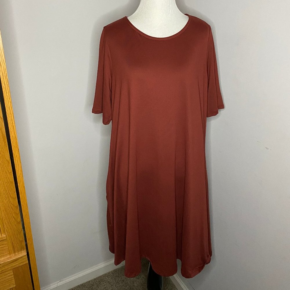 NWT Agnes & Dora Maroon Swing Tunic